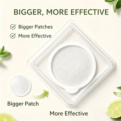 Dentafluxlabs® Moringa · Berberine × NAD+ 10-in-1 Advanced Nano Microneedle Patch